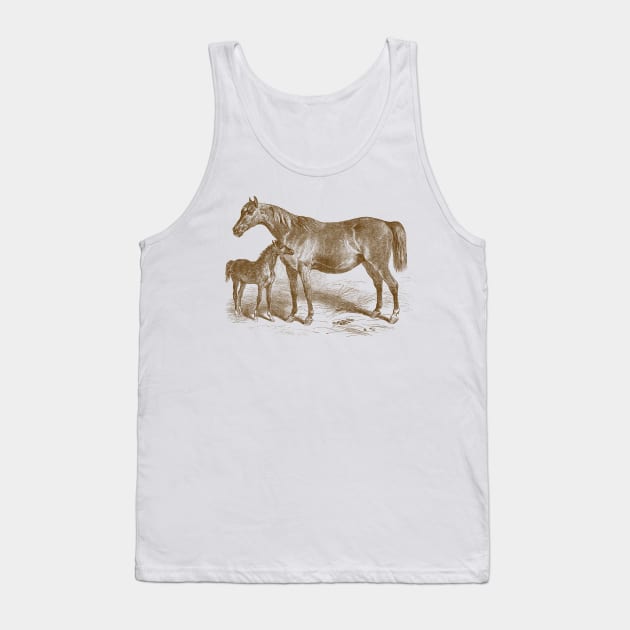 Arabian Horse Mare and Foal Vintage Illustration Tank Top by Biophilia